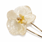 Champagne Orchid