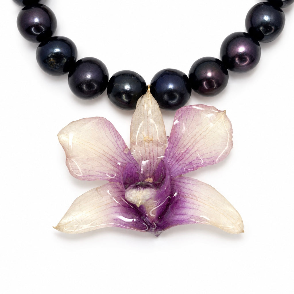Twilight Orchid