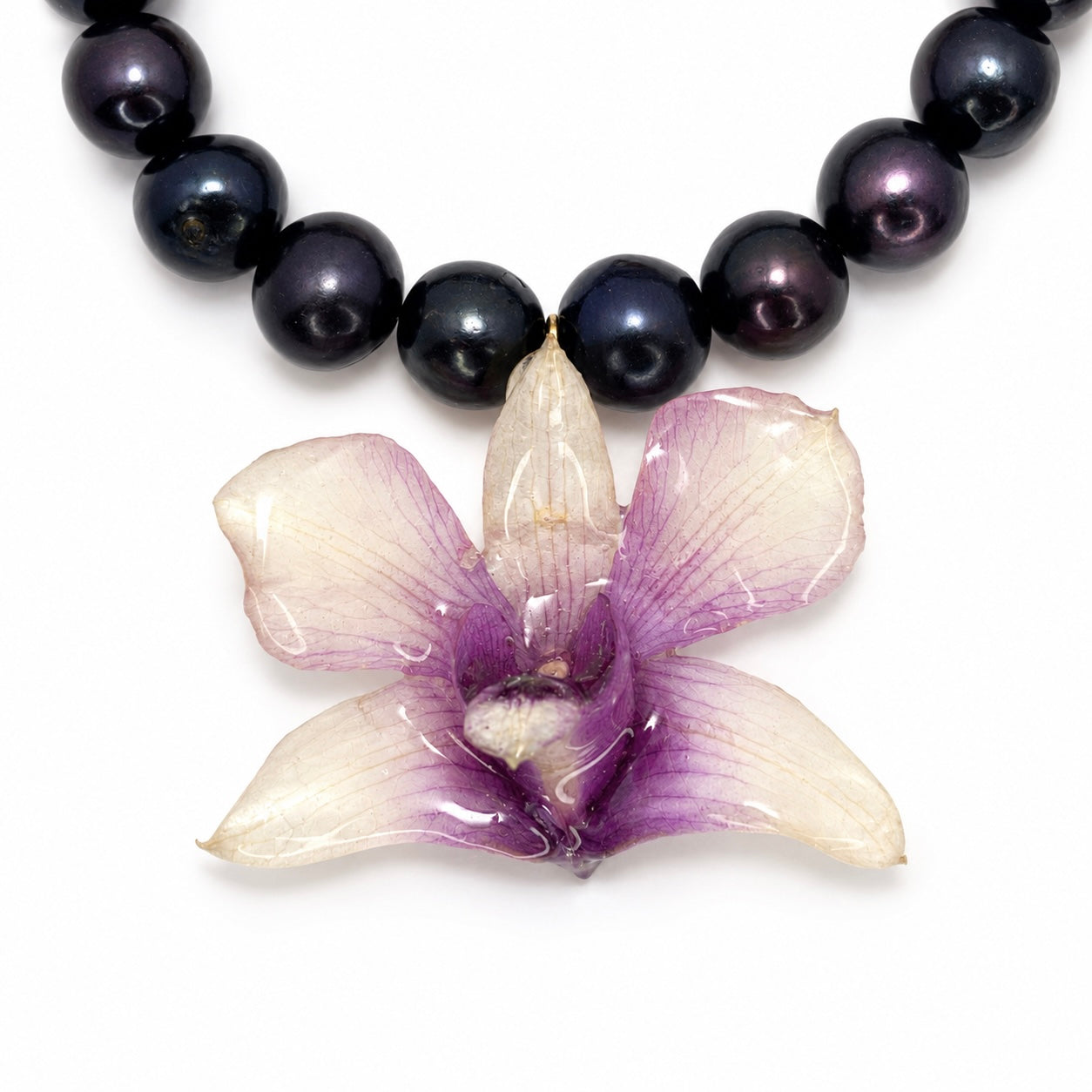 Twilight Orchid
