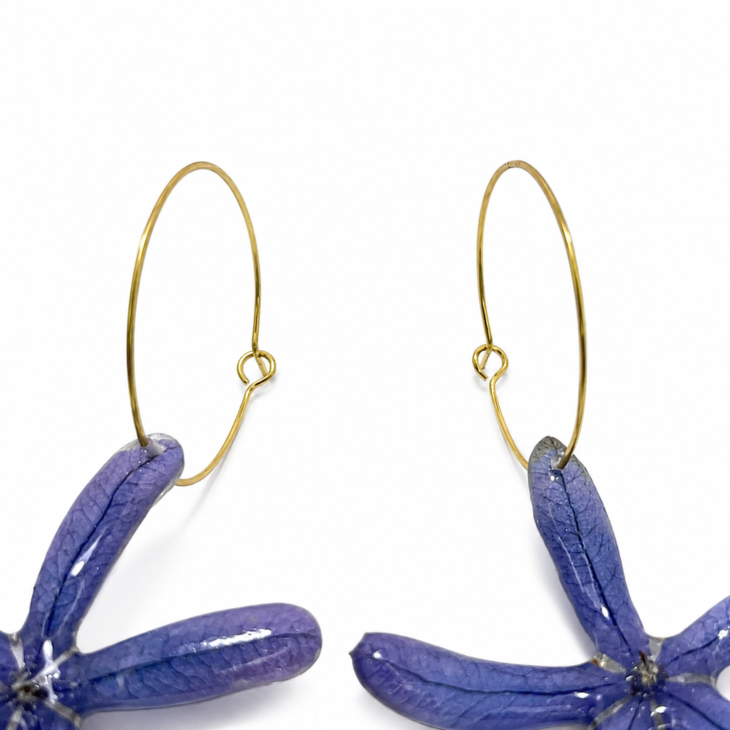 Blue Botanica