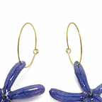 Blue Botanica