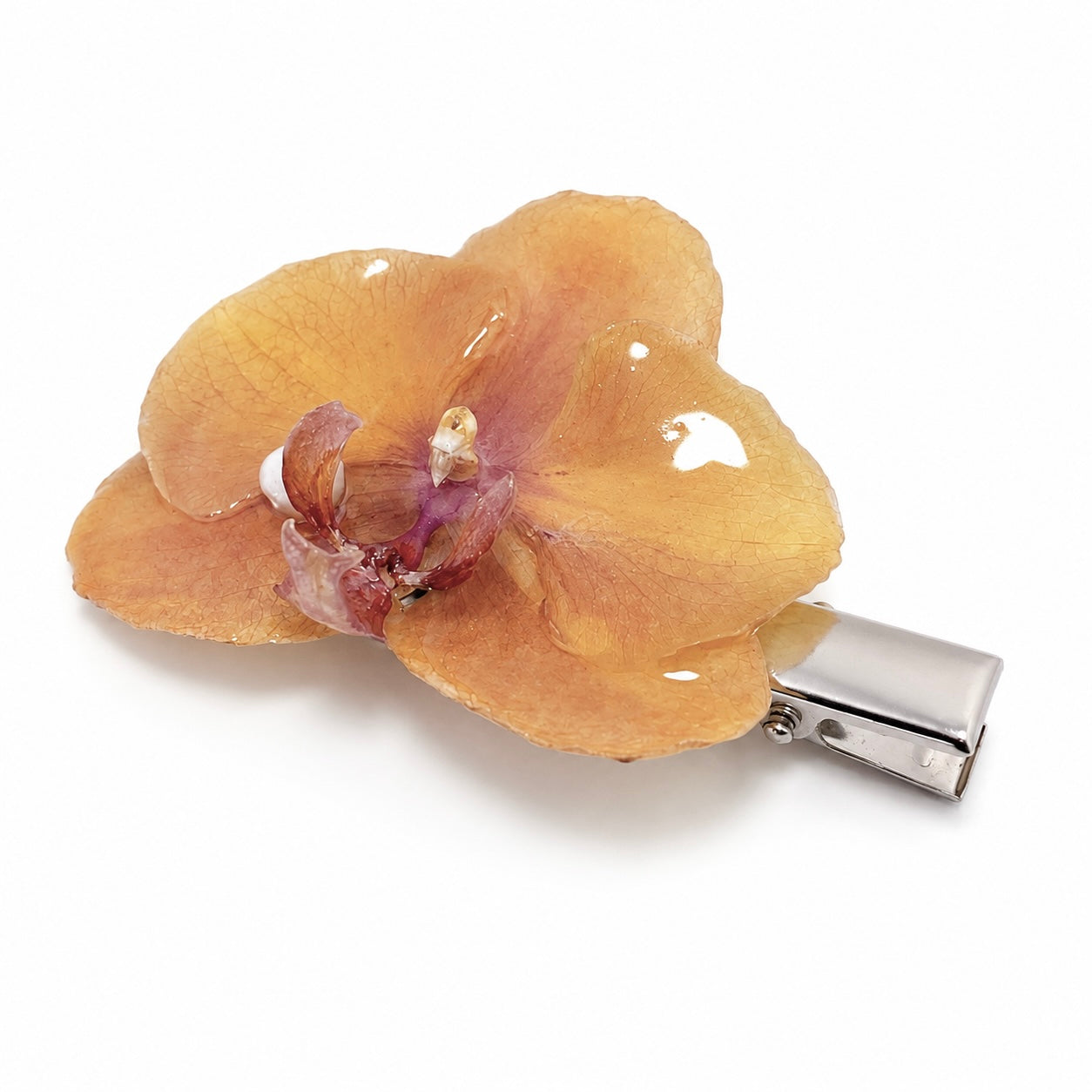Pinza Sunset Orchid