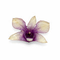 Amethyst Bloom
