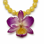 Sunset Dendrobium
