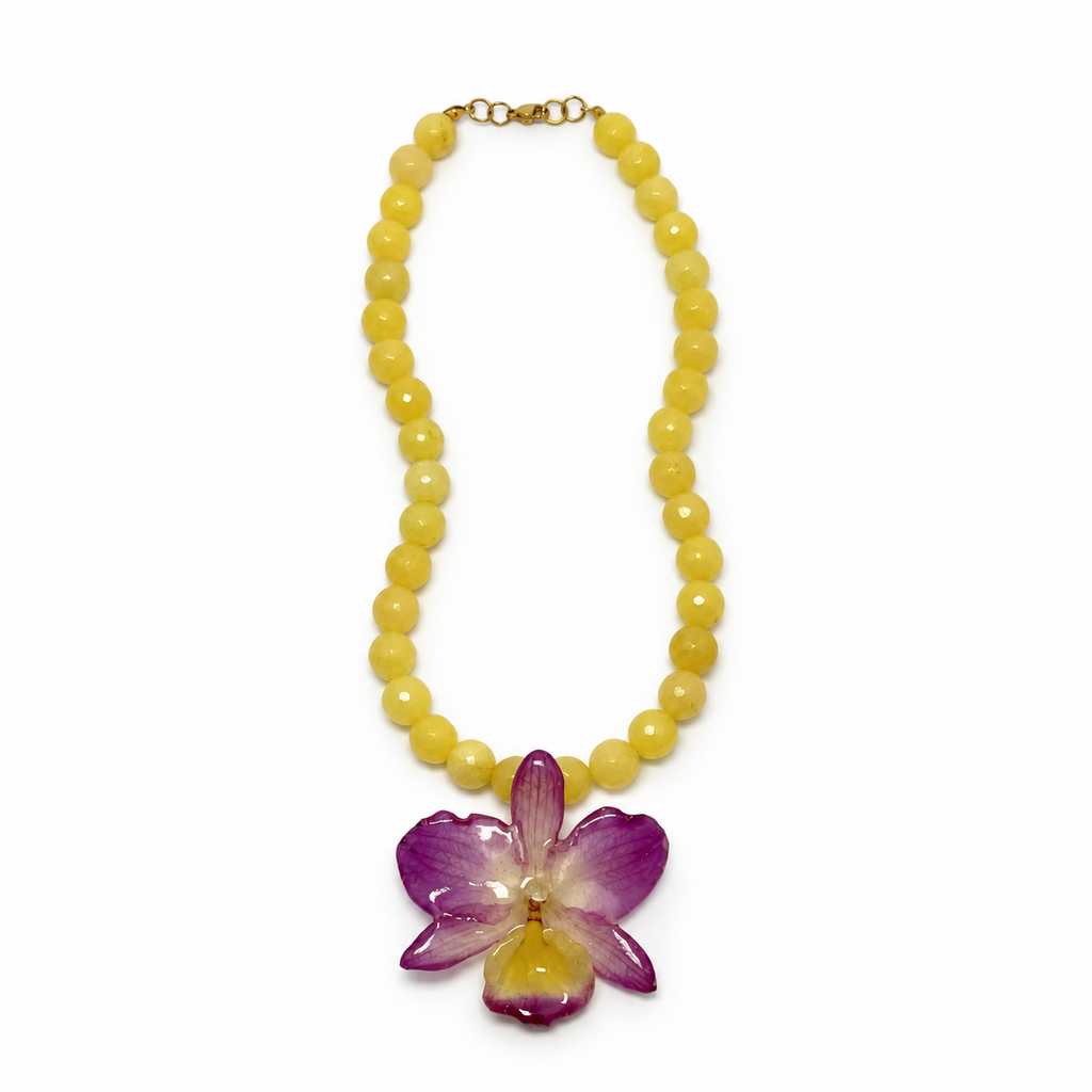 Sunset Dendrobium