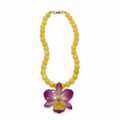 Sunset Dendrobium