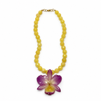 Sunset Dendrobium