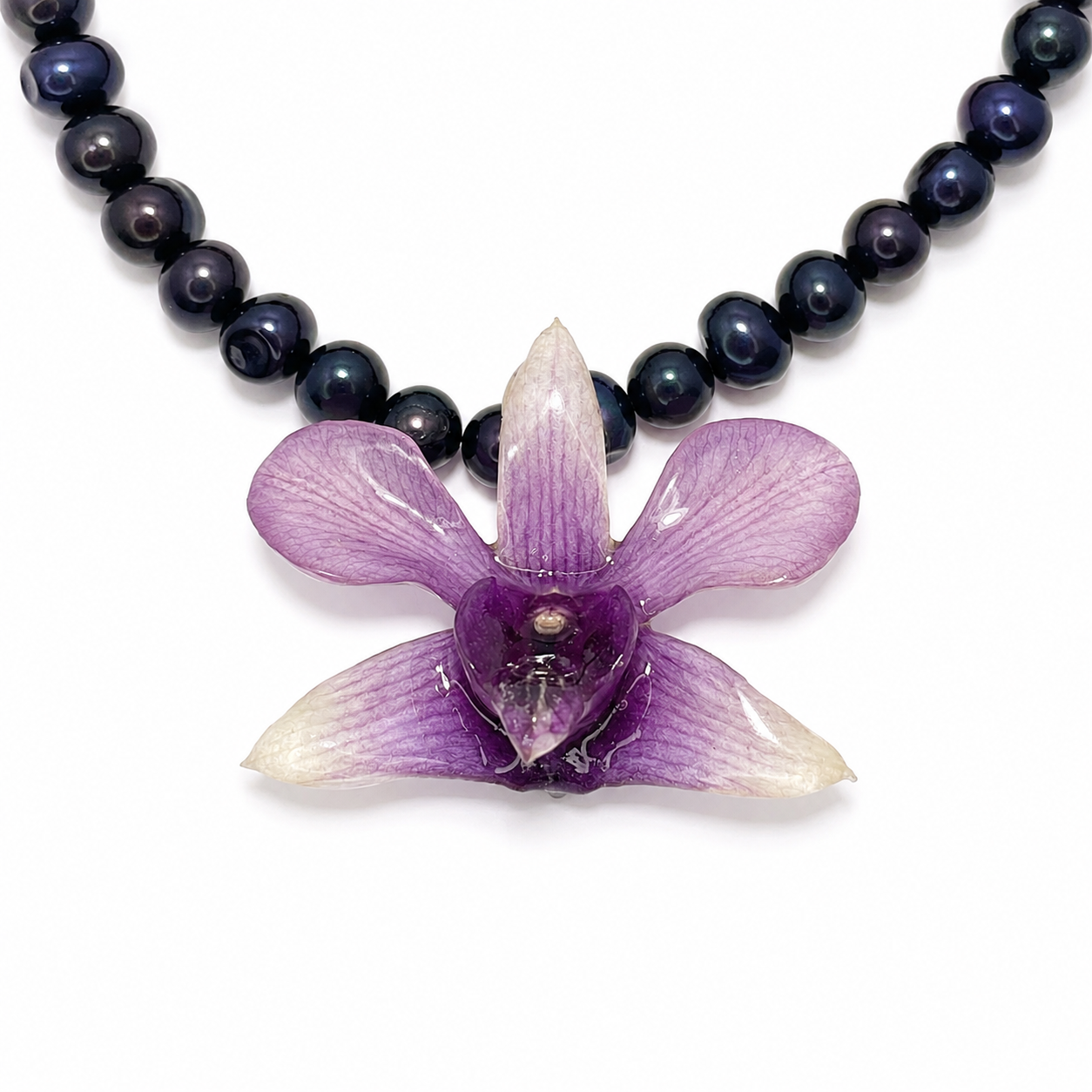 Twilight Orchid
