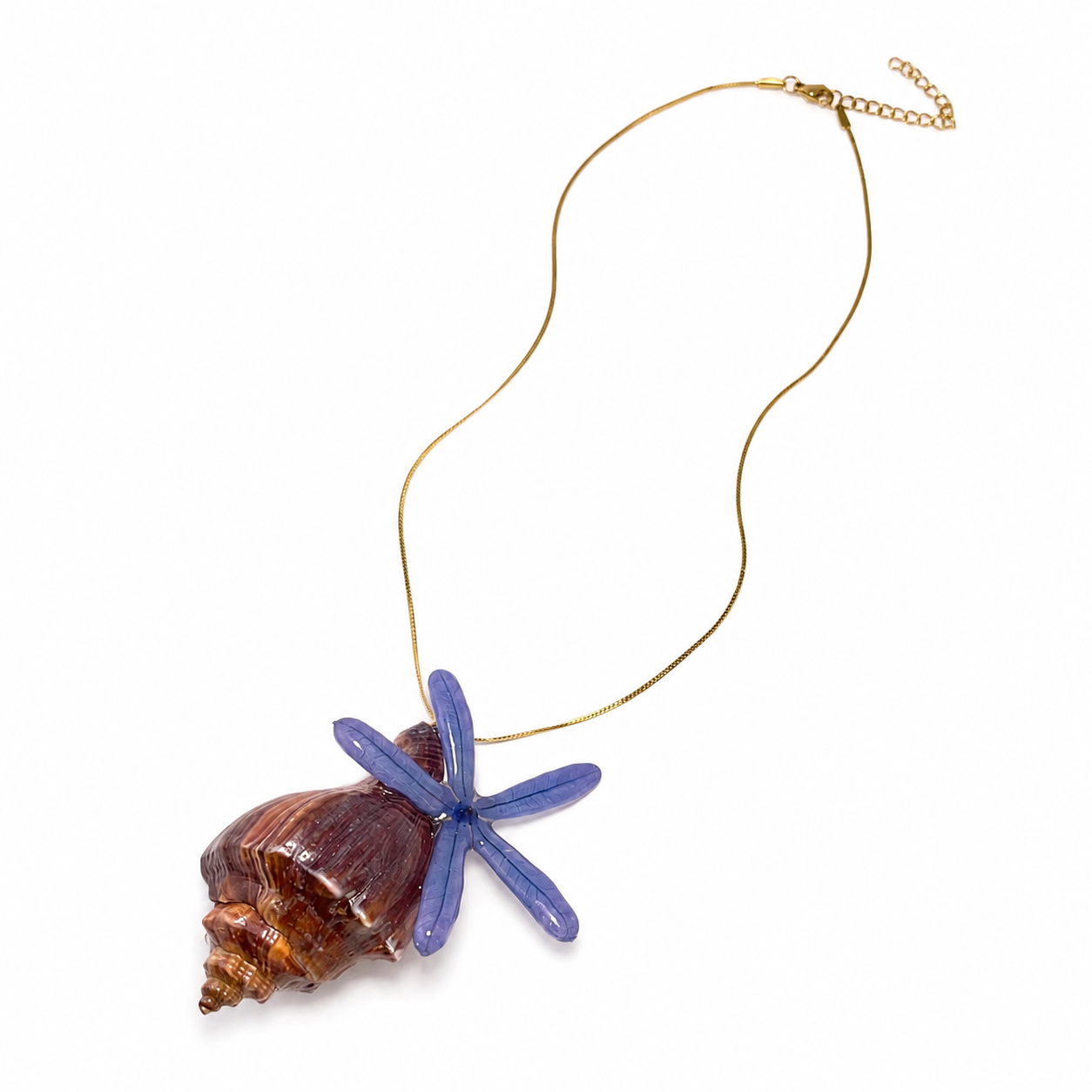 Shell Bloom