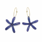 Blue Botanica