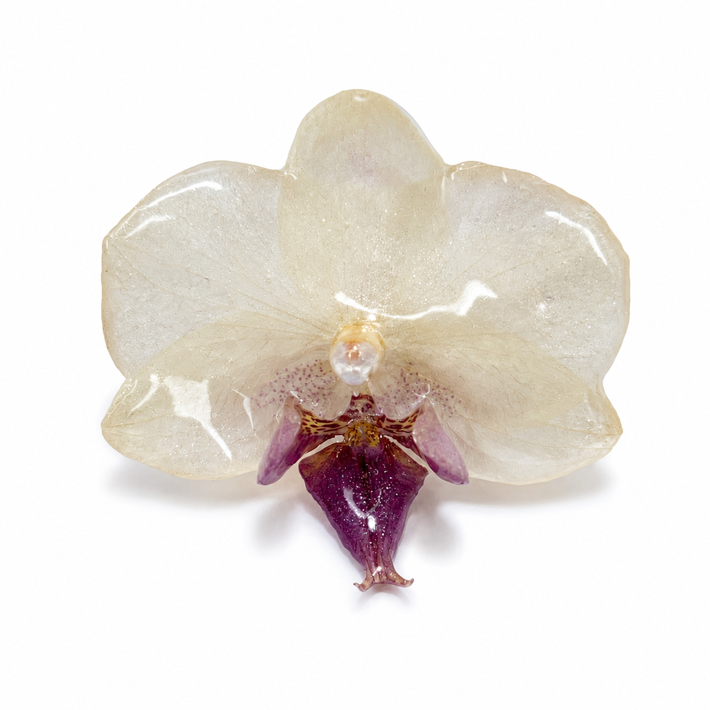 Pearl Orchid Ring