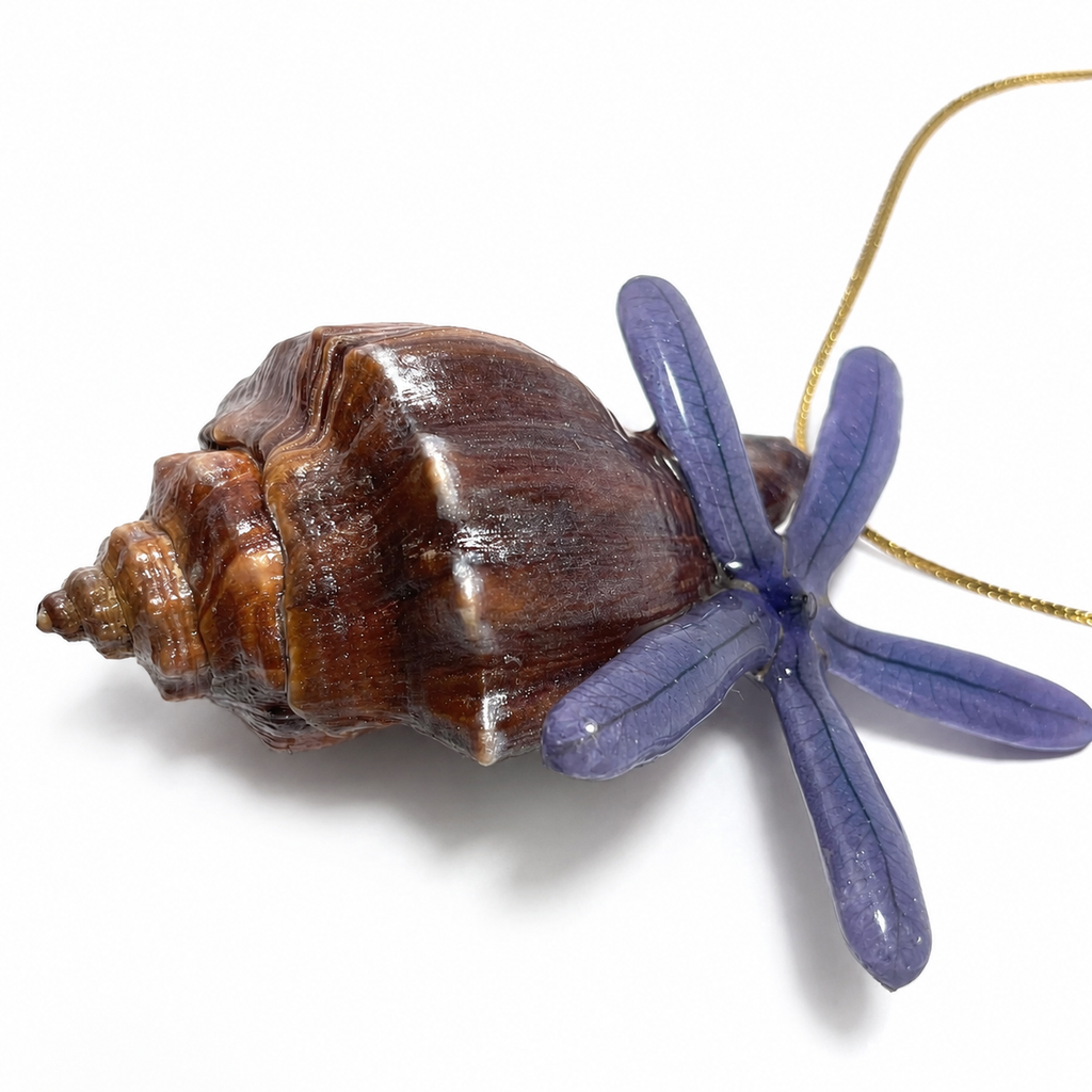 Shell Bloom
