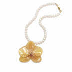 Amber Phalaenopsis