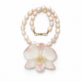 Rosé Orchid