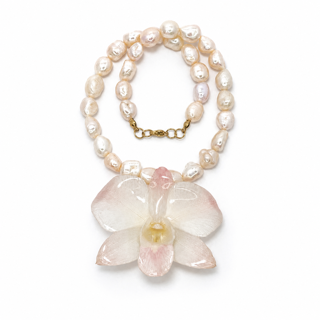 Rosé Orchid