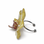 Golden Instinct Ring