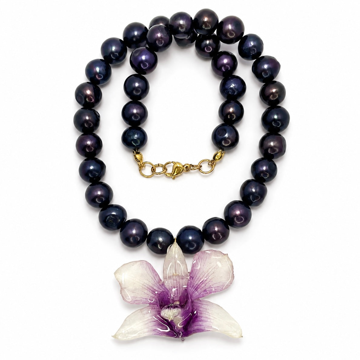 Twilight Orchid