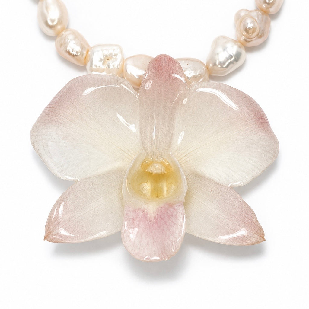 Rosé Orchid