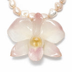 Rosé Orchid