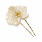 Champagne Orchid