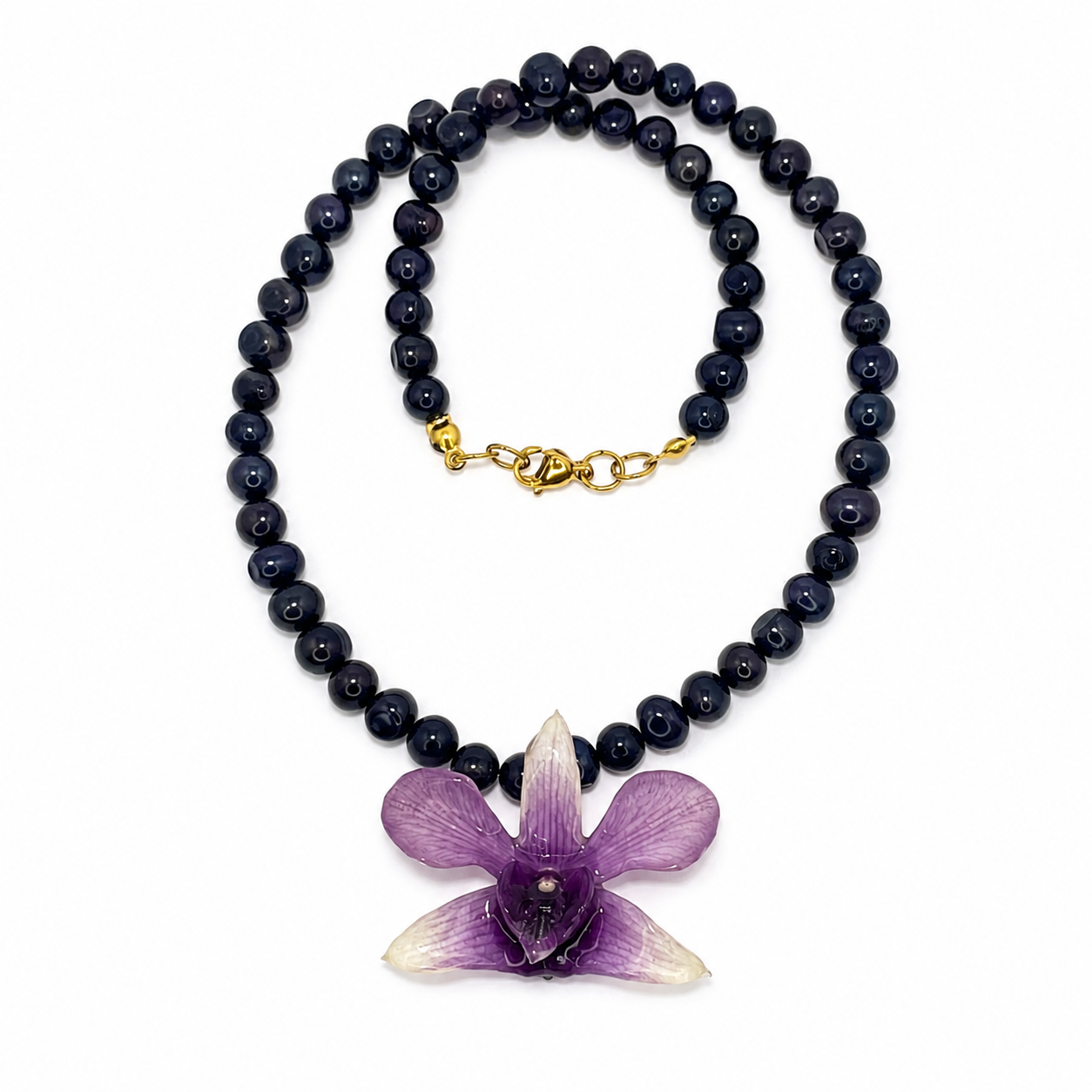 Twilight Orchid