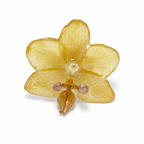 Golden Instinct Ring