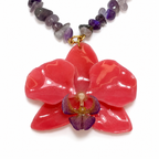 Blushing Orchid