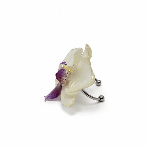 Baby White Orchid